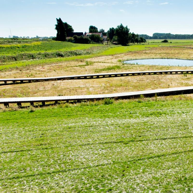 Bleiswijkse Fles