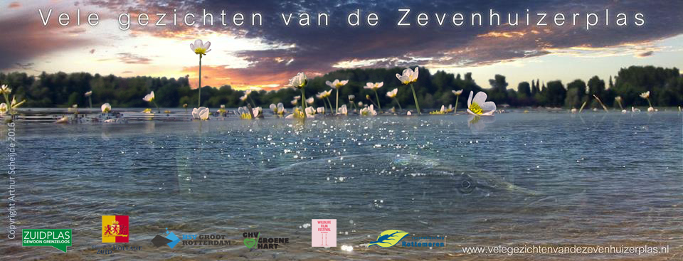 FacebookVisual ZHP