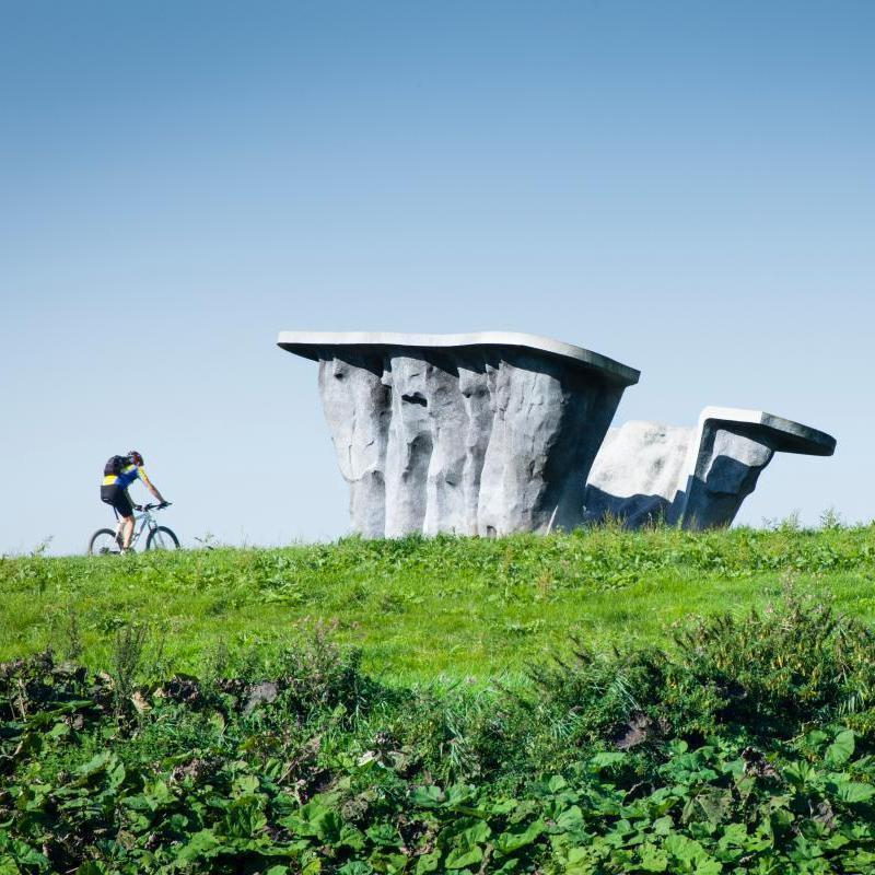 Hoge Bergse Bos kunstwerk