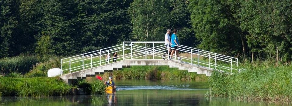 Drie keer Hoge Bergse Bos