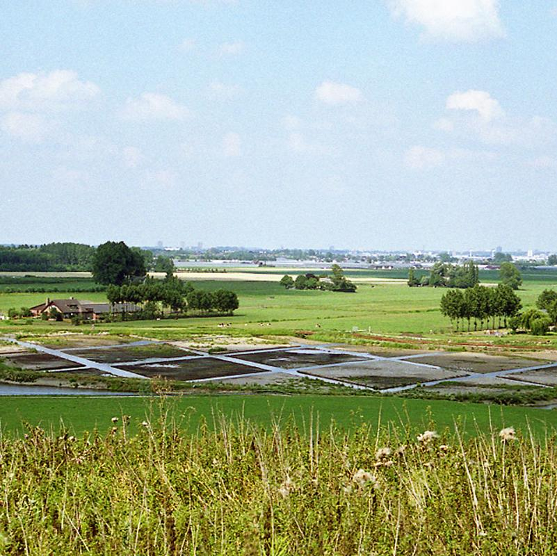 Rondje Hoge Bergse Bos