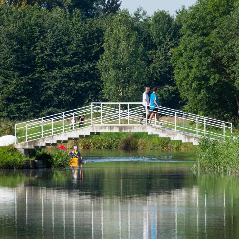 Hoge Bergse Bos bruggetje categorie